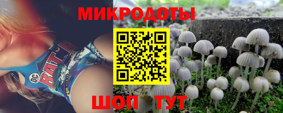 Галлюциногенные грибы GOLDEN TEACHER  Вход с VPN  Наро-Фоминск 