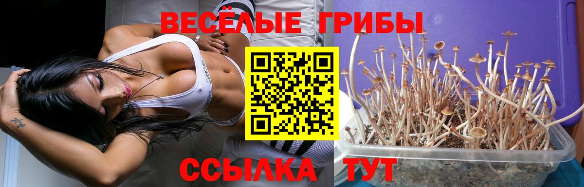 Псилоцибиновые грибы прущие грибы Наро-Фоминск